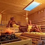 Hotel Rebhan's Business Und Wellness 4*