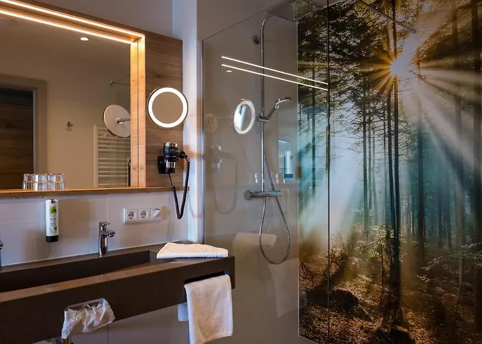 Hotel Rebhan's Business Und Wellness Neukenroth