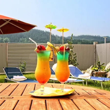 酒店 Rebhan's Business Und Wellness 4*